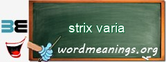 WordMeaning blackboard for strix varia